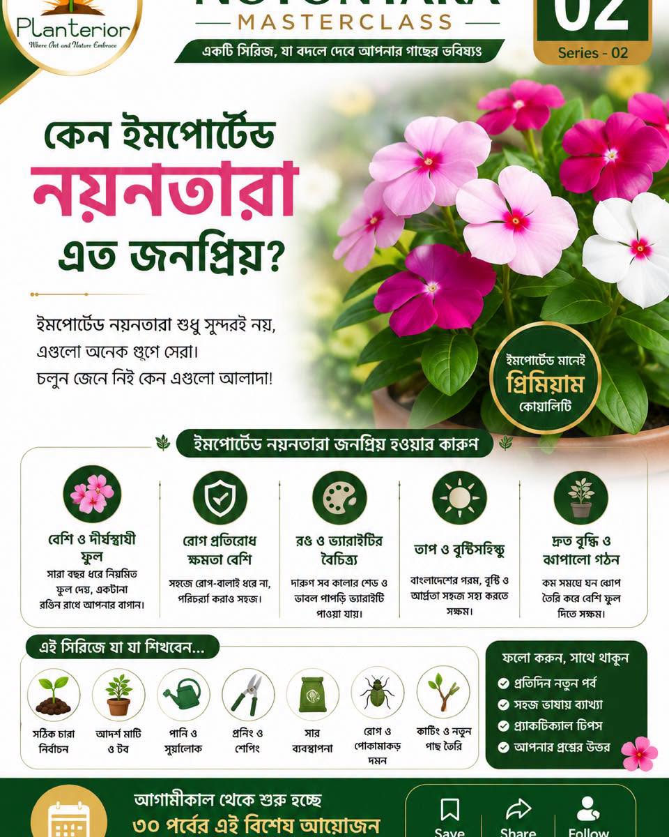 🌸 ইমপোর্টেড নয়নতারা মাস্টারক্লাস | পর্ব–০২ কেন ইমপোর্টেড নয়নতারা এত জনপ্রিয়?