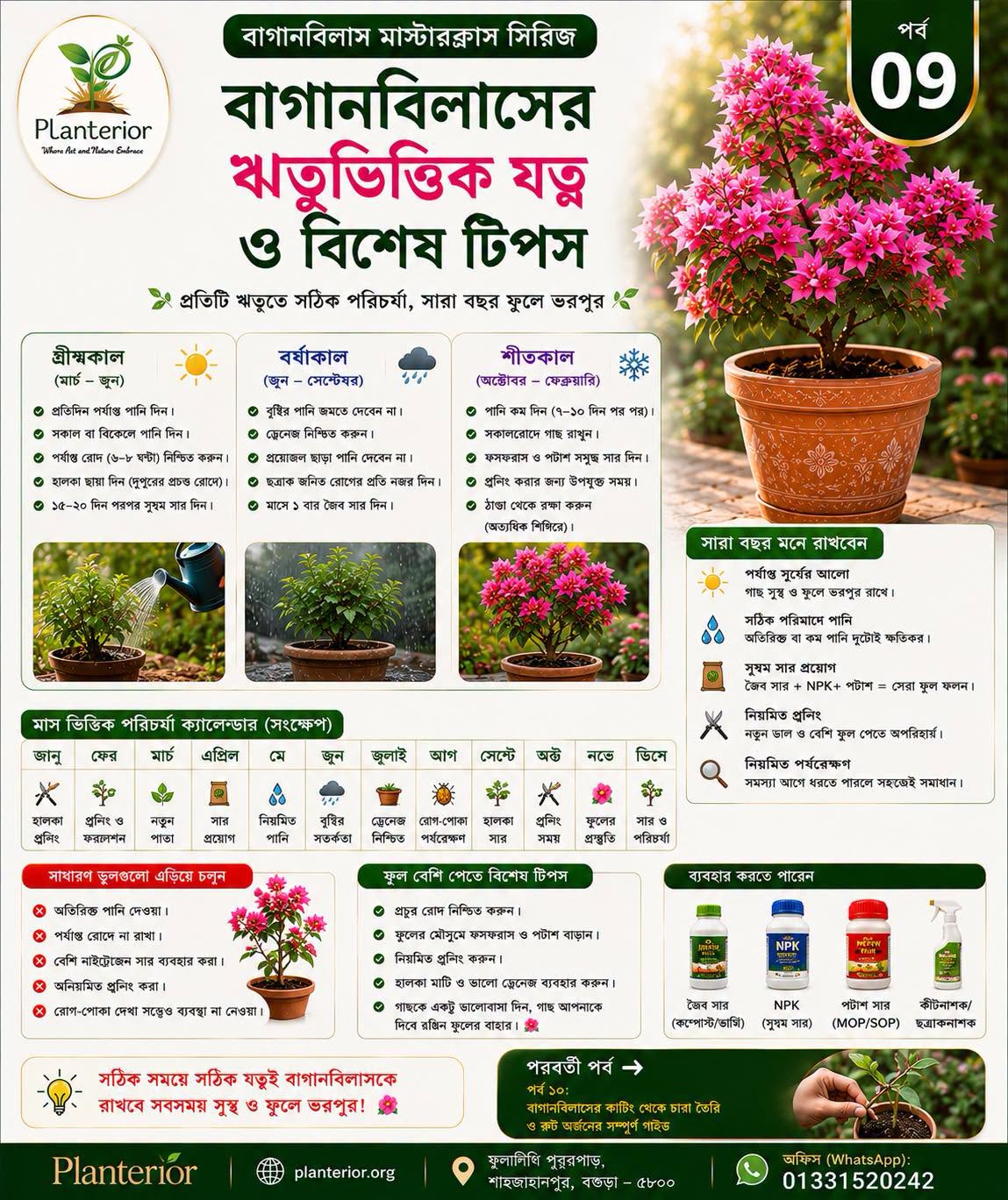 🌸 বাগানবিলাস মাস্টারক্লাস | পর্ব–০৯: বাগানবিলাসের ঋতুভিত্তিক যত্ন ও বিশেষ টিপস—গ্রীষ্ম, বর্ষা ও শীতকালে কীভাবে পরিচর্যা করবেন ?