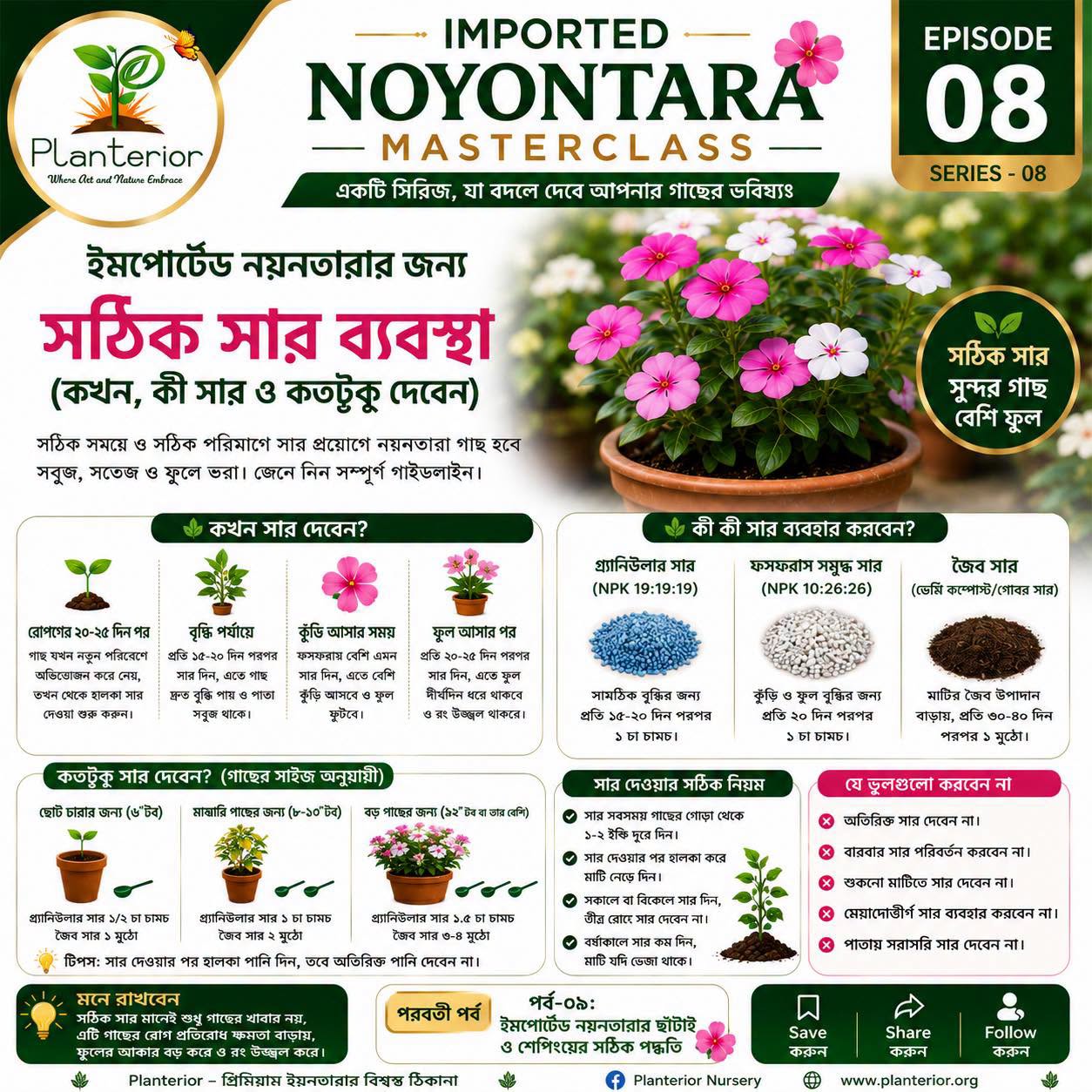 ইমপোর্টেড নয়নতারার সঠিক সার ব্যবস্থাপনা | কখন, কী সার ও কতটুকু দেবেন | নয়নতারা মাস্টারক্লাস পর্ব–০৮
