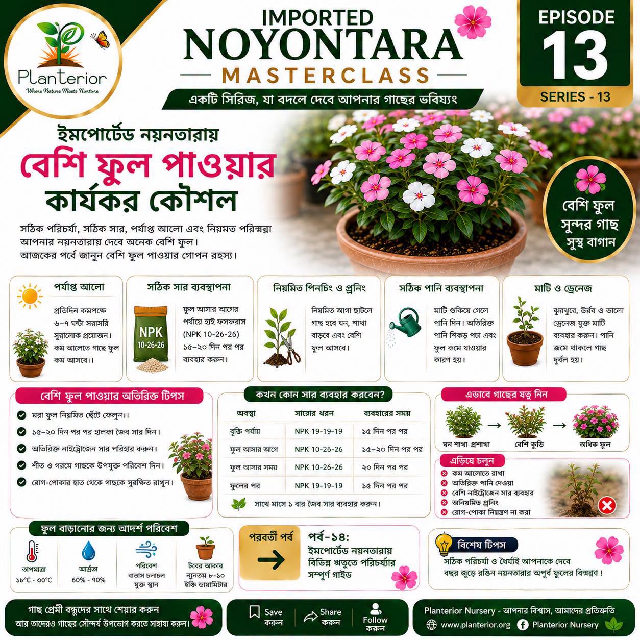 ইমপোর্টেড নয়নতারায় বেশি ফুল পাওয়ার কার্যকর কৌশল | Imported Vinca Masterclass পর্ব–১৩