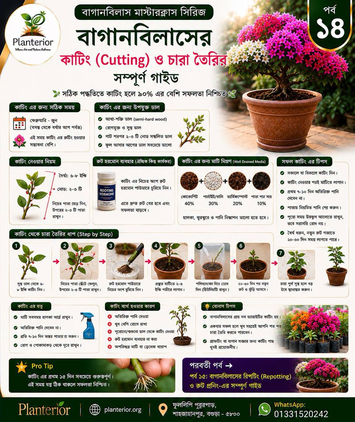 বাগানবিলাসের কাটিং থেকে সফলভাবে চারা তৈরির সম্পূর্ণ গাইড | Masterclass পর্ব–১৪ | Planterior Nursery