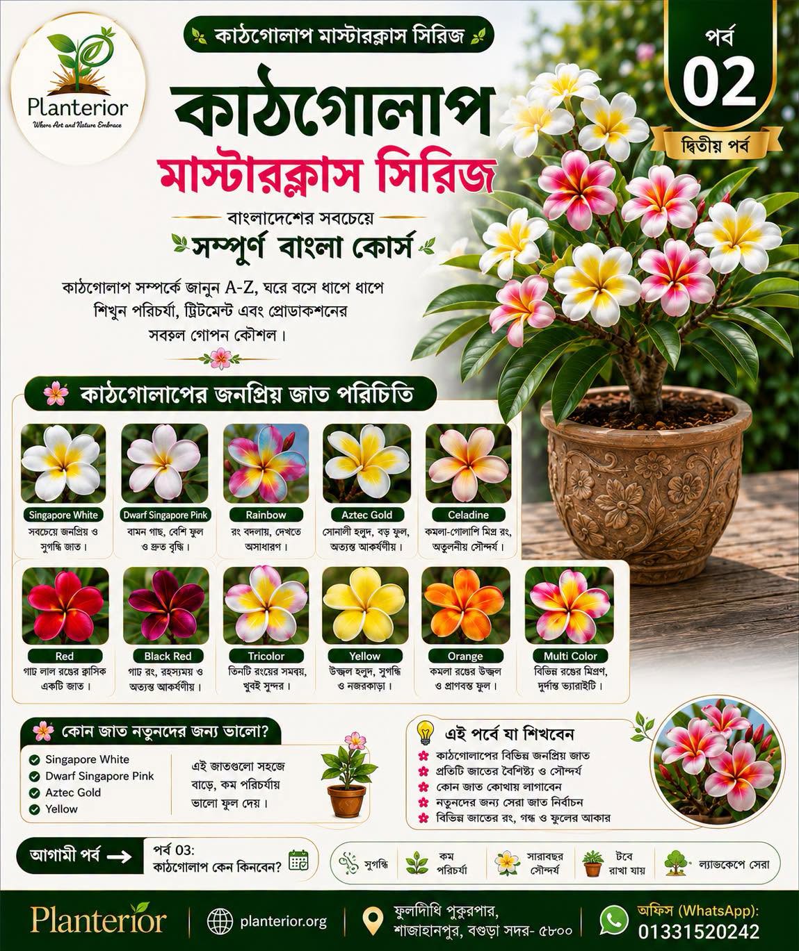 🌸 কাঠগোলাপ মাস্টারক্লাস সিরিজ | পর্ব–০২