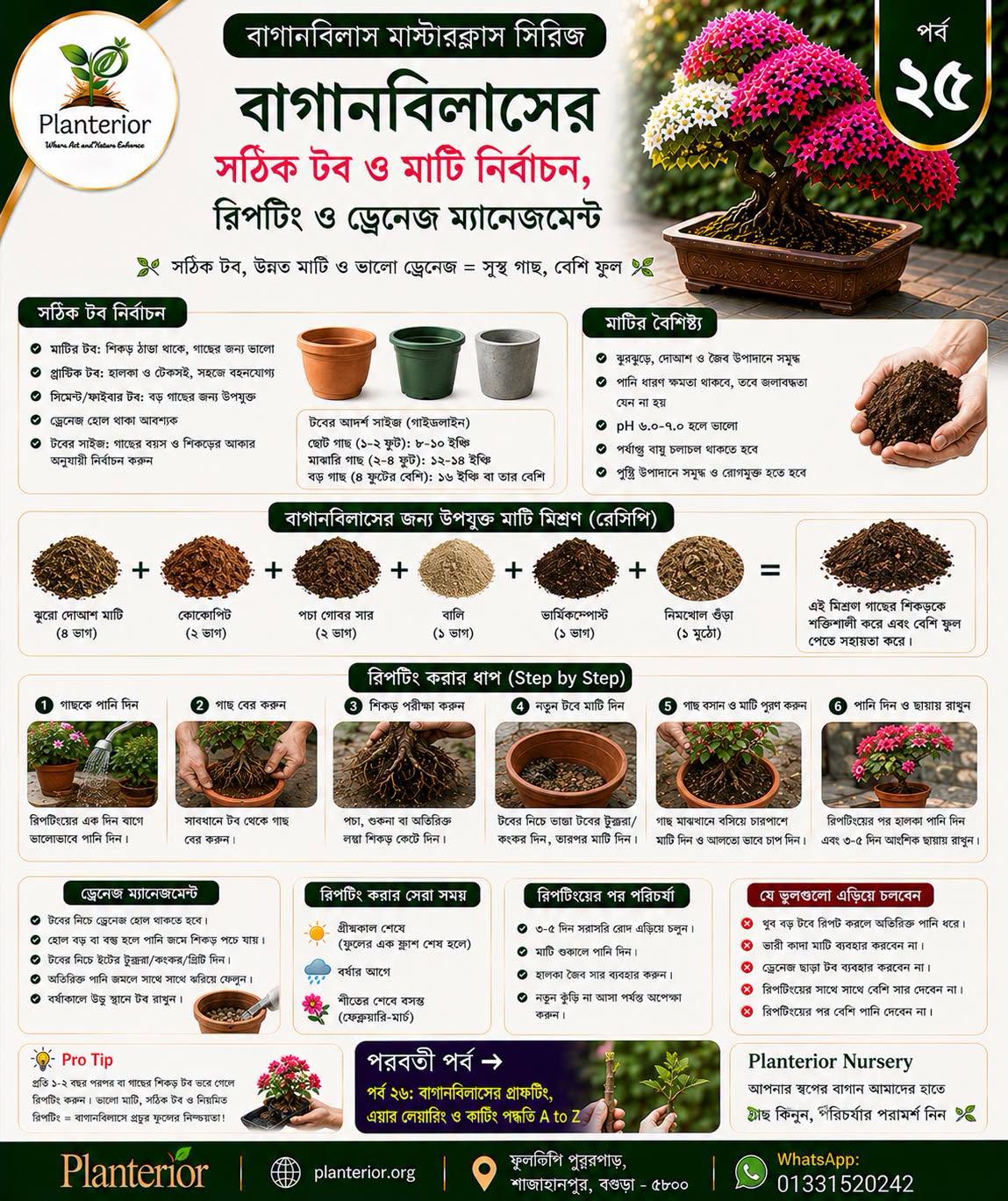 🌸 বাগানবিলাস মাস্টারক্লাস সিরিজ | পর্ব–২৫