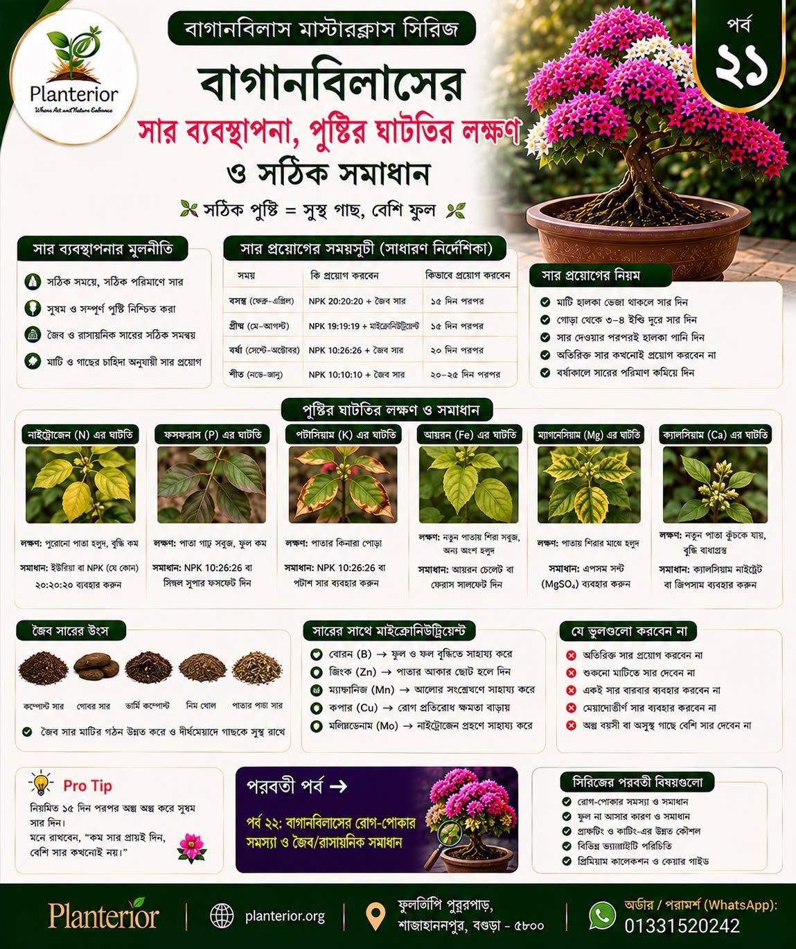 🌸 বাগানবিলাস মাস্টারক্লাস সিরিজ | পর্ব–২১ 🌿 বাগানবিলাসের সার ব্যবস্থাপনা, পুষ্টির ঘাটতির লক্ষণ ও সঠিক সমাধান