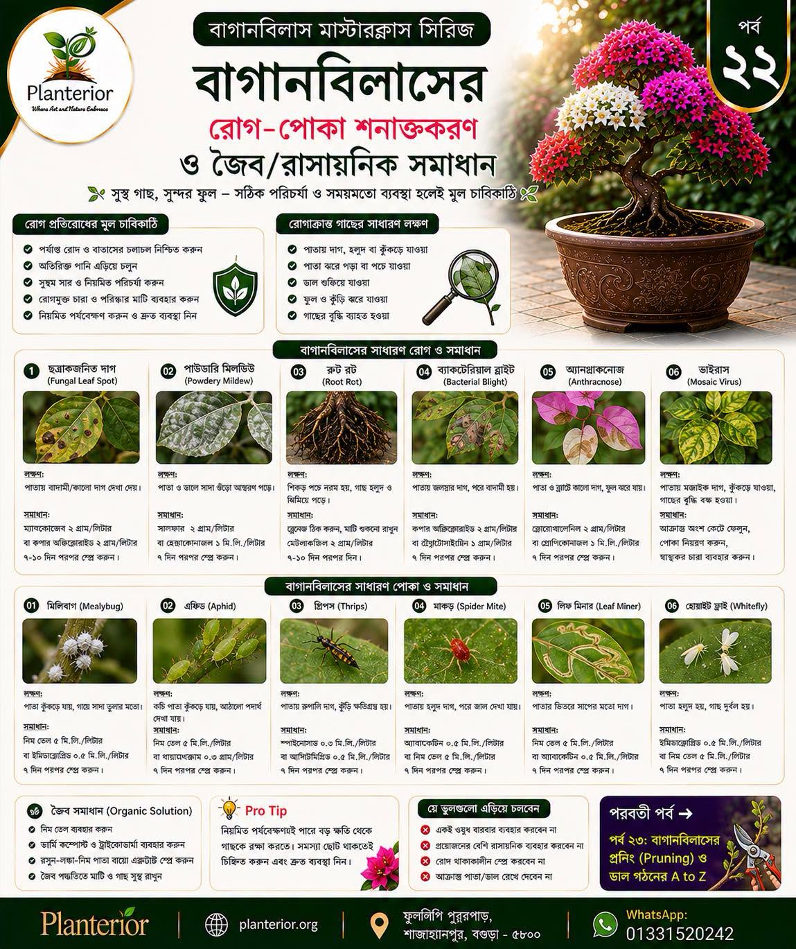🌸 বাগানবিলাস মাস্টারক্লাস সিরিজ | পর্ব–২২