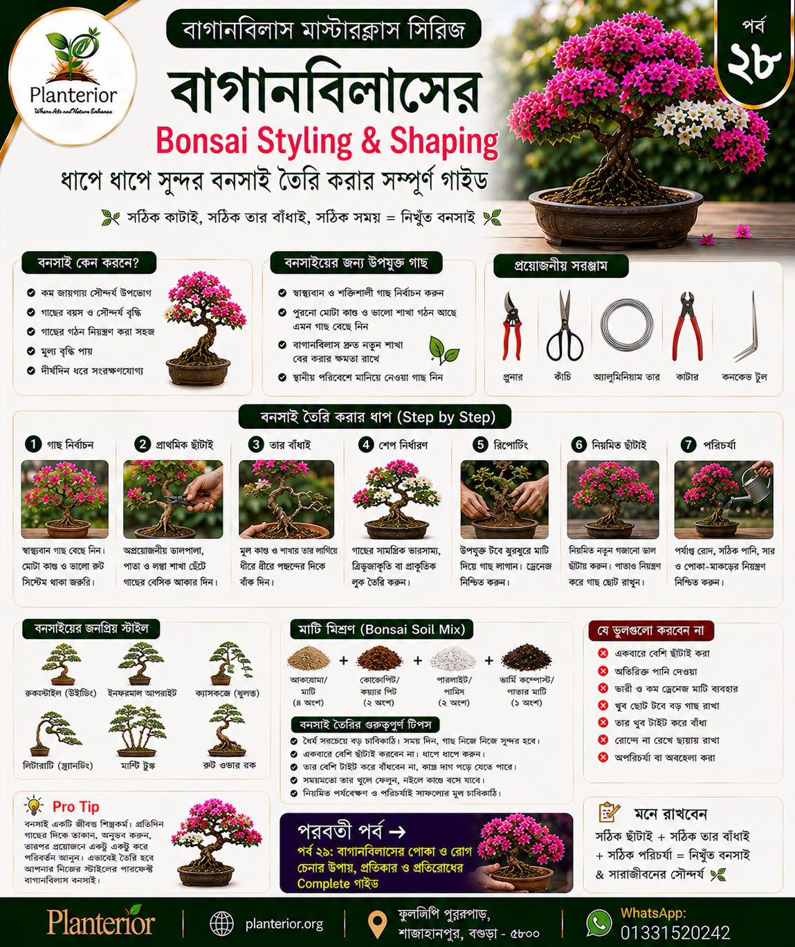 🌸 বাগানবিলাস মাস্টারক্লাস সিরিজ | পর্ব–২৮