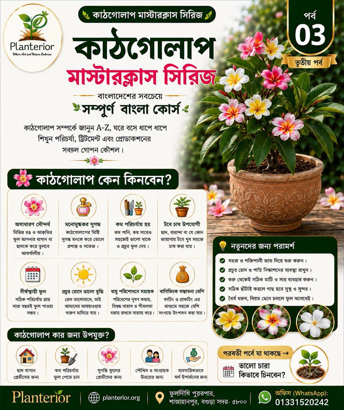 🌸 কাঠগোলাপ মাস্টারক্লাস সিরিজ | পর্ব–০৩