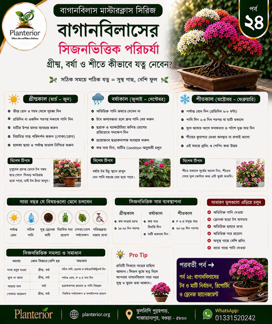 🌸 বাগানবিলাস মাস্টারক্লাস সিরিজ | পর্ব–২৪