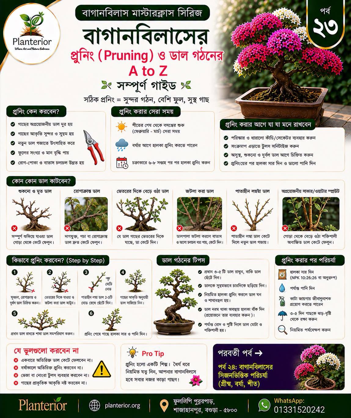 🌸 বাগানবিলাস মাস্টারক্লাস | পর্ব–২৩