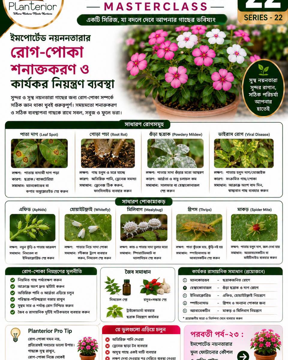 ইমপোর্টেড নয়নতারা মাস্টারক্লাস সিরিজ | পর্ব–২২