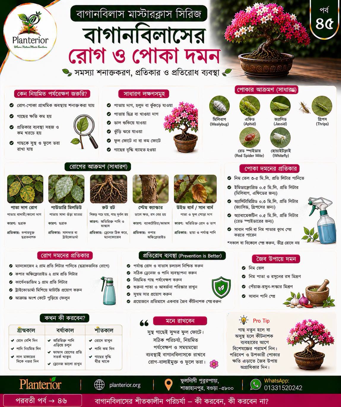 বাগানবিলাস মাস্টারক্লাস সিরিজ | পর্ব–৪৫