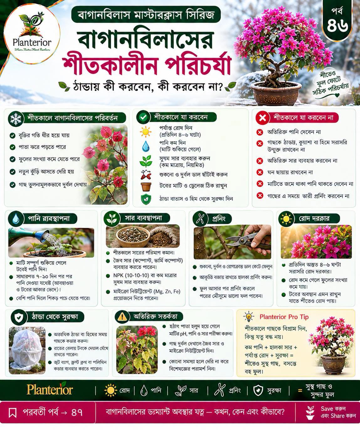 বাগানবিলাস মাস্টারক্লাস সিরিজ | পর্ব–৪৬