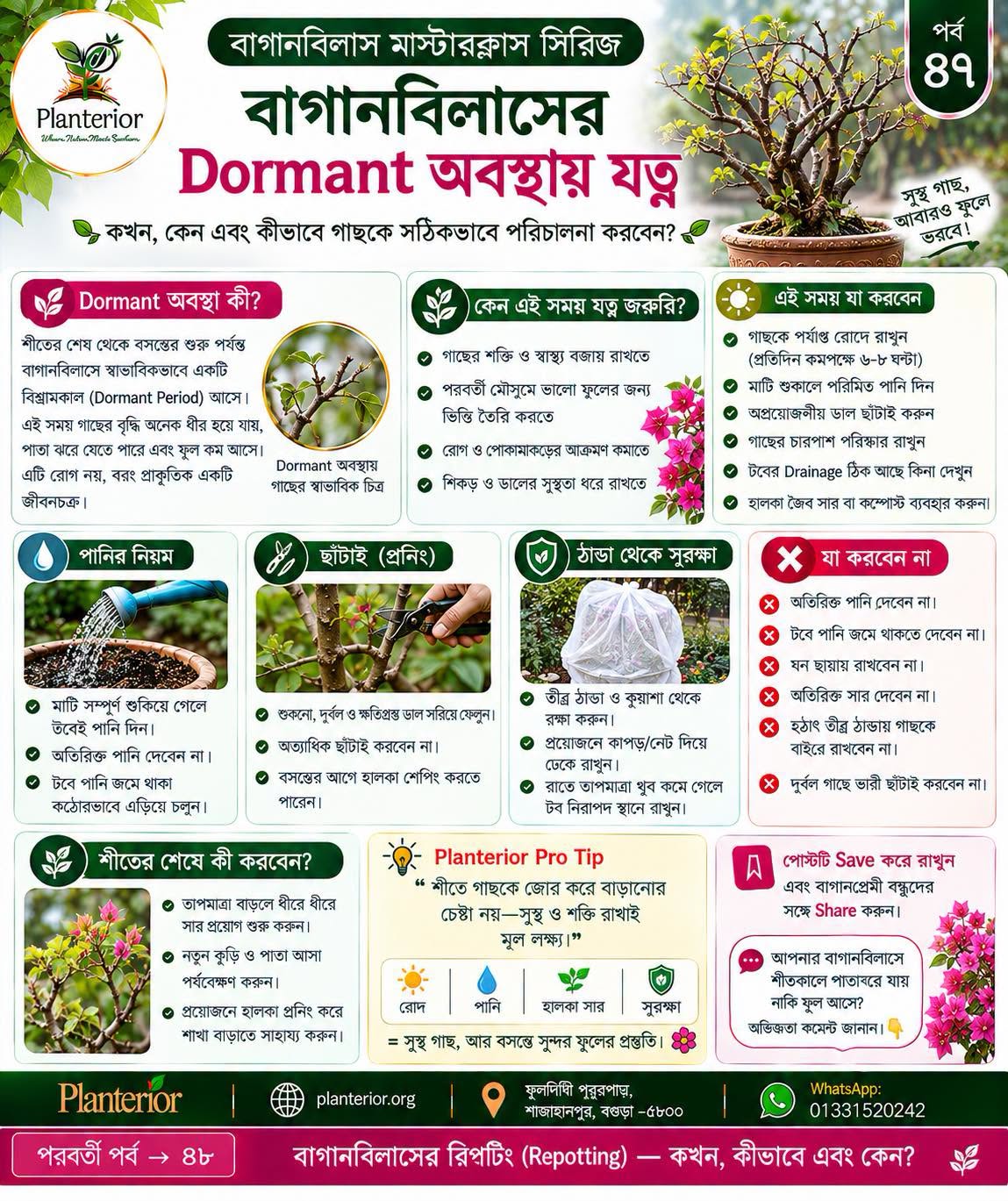 বাগানবিলাস মাস্টারক্লাস সিরিজ | পর্ব–৪৭