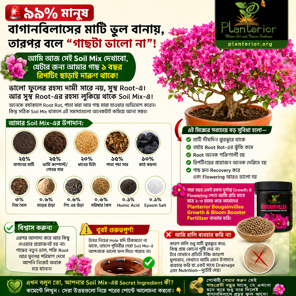 বাগানবিলাসের সেরা Soil Mix: ১ বছর রিপটিং ছাড়াই সুস্থ Root ও প্রচুর ফুল পাওয়ার গোপন রহস্য